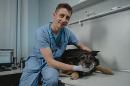 sad dog lying down at vet clinic