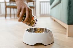 dog food bowl kibble pouring