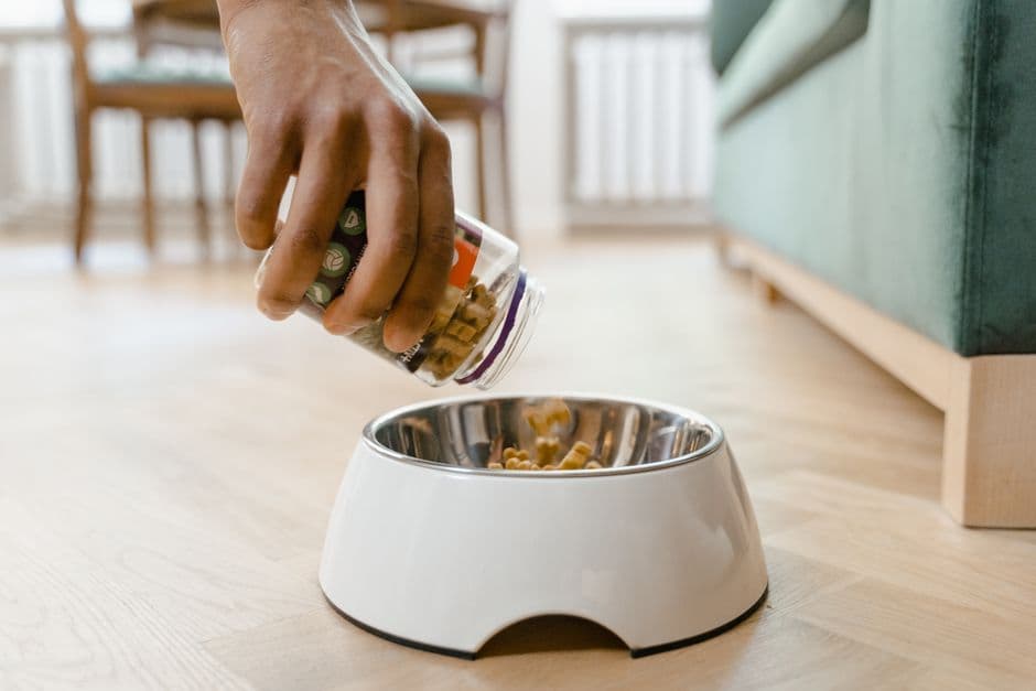 dog food bowl kibble pouring